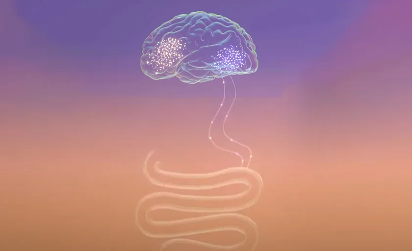 Ilustración de un cerebro conectado al intestino mediante una línea luminosa que representa el eje intestino-cerebro