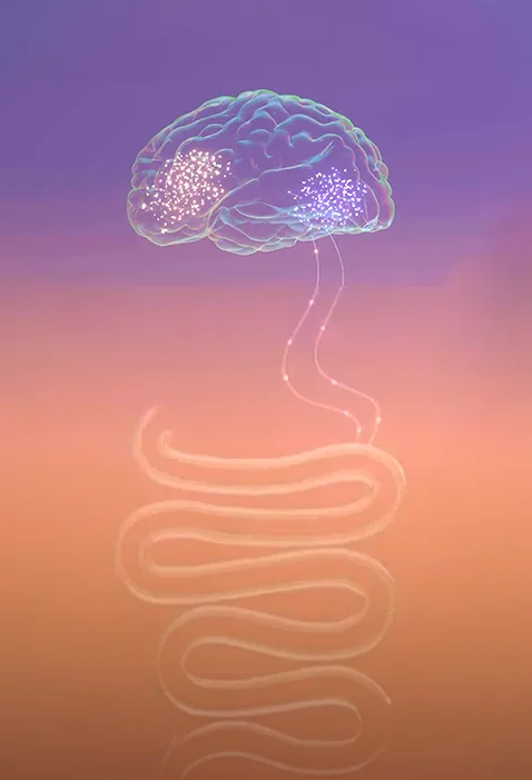 Ilustración de un cerebro conectado al intestino mediante una línea luminosa que representa el eje intestino-cerebro