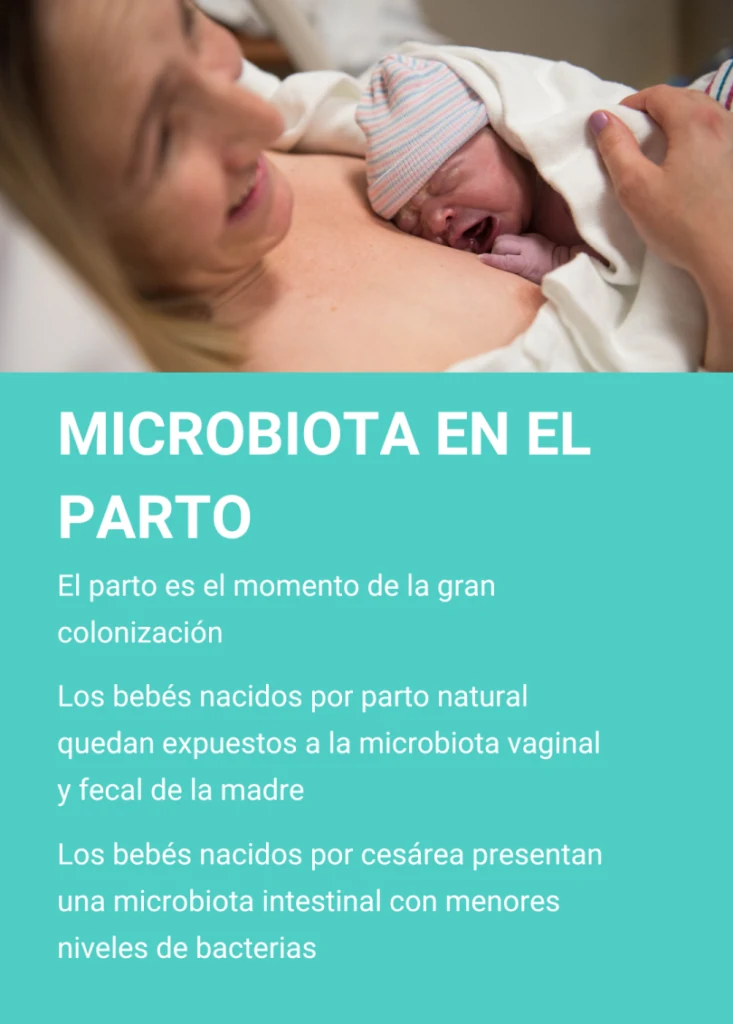 Madre con su recién nacido piel con piel. Microbiota en el parto: el parto es el momento de la gran colonización
