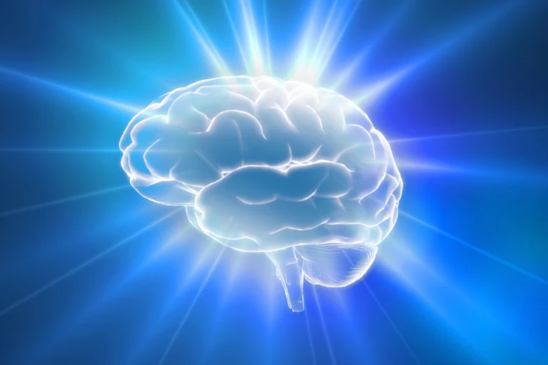Composición del cerebro
