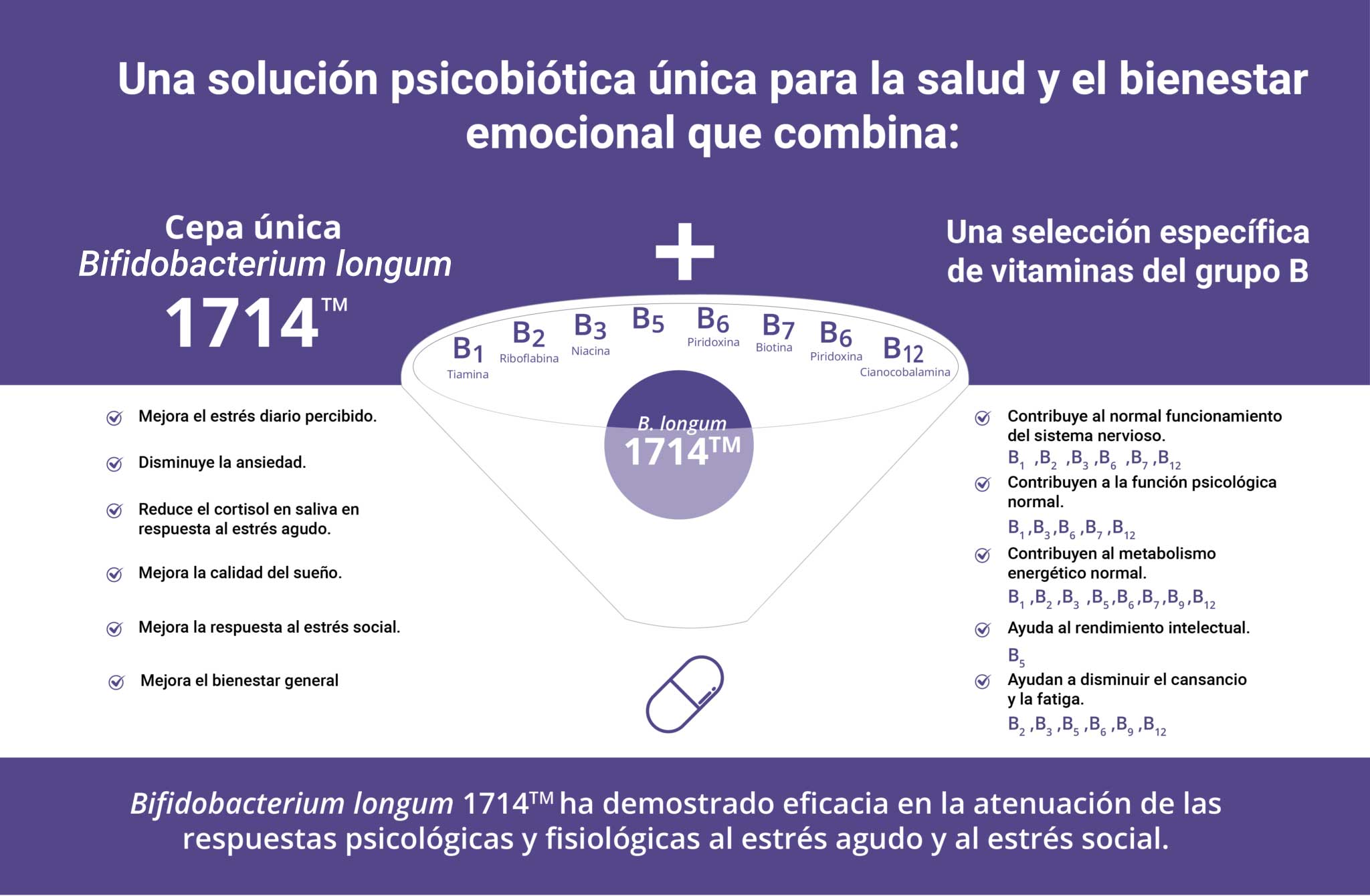 Composición zenflore Vitamina B más 1714