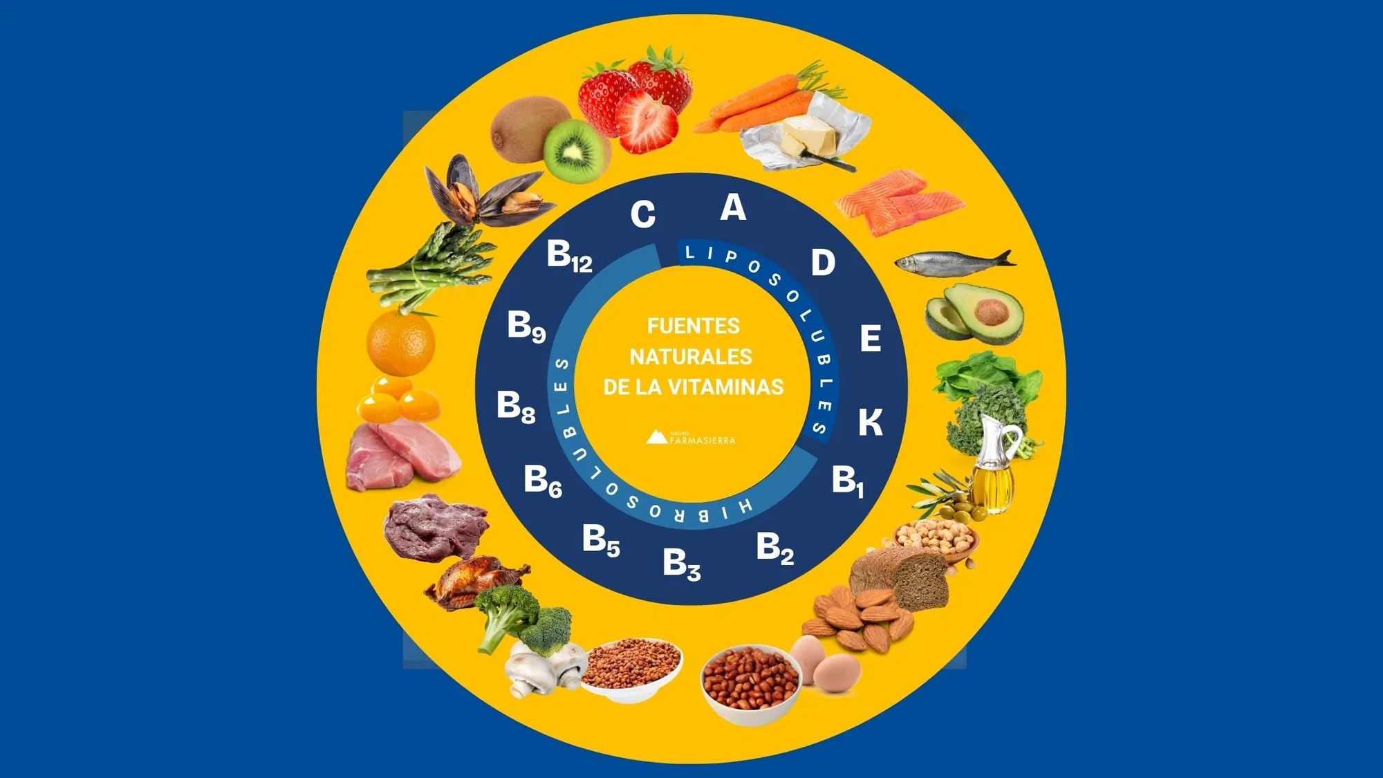 Rueda de fuentes naturales de vitaminas con alimentos agrupados por vitamina