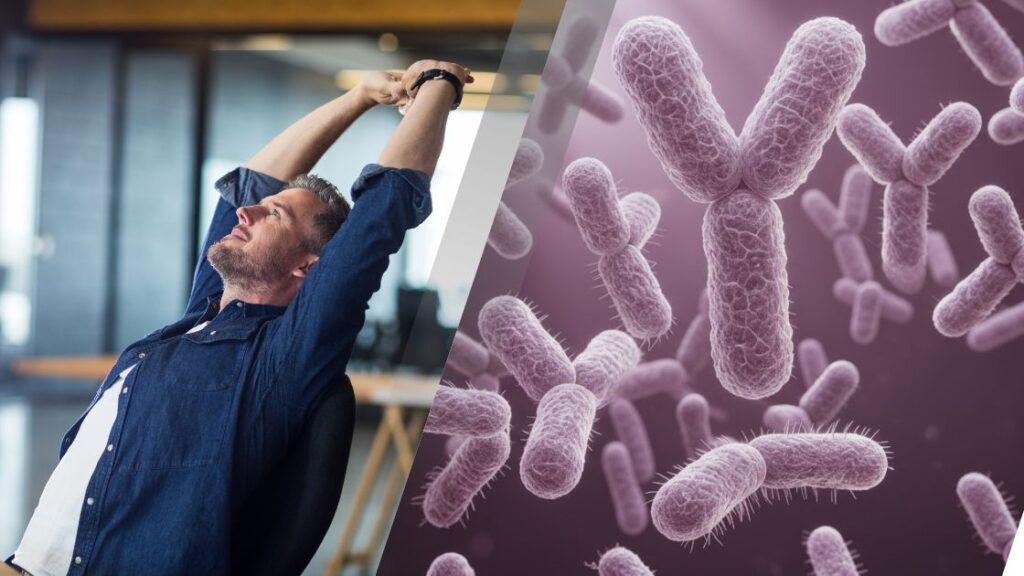 Bifidobacterium longum 1714